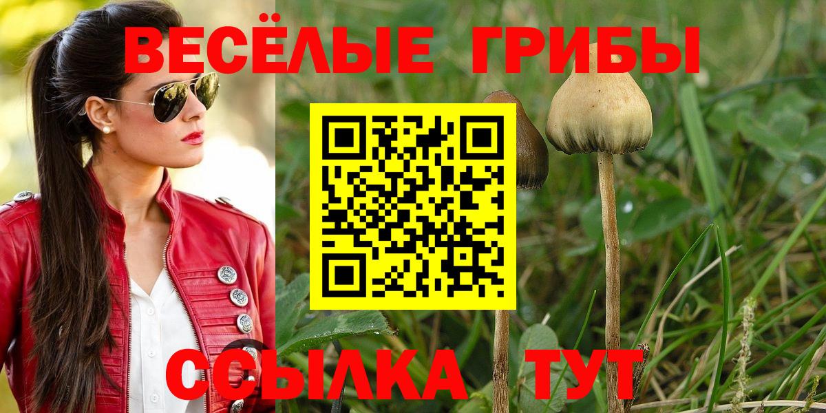 Alpha-PVP СОЛЬ   МАРИХУАНА  Вход с VPN  Кемерово  Меф МЯУ МЯУ кристаллы  COCAIN  Гашиш 