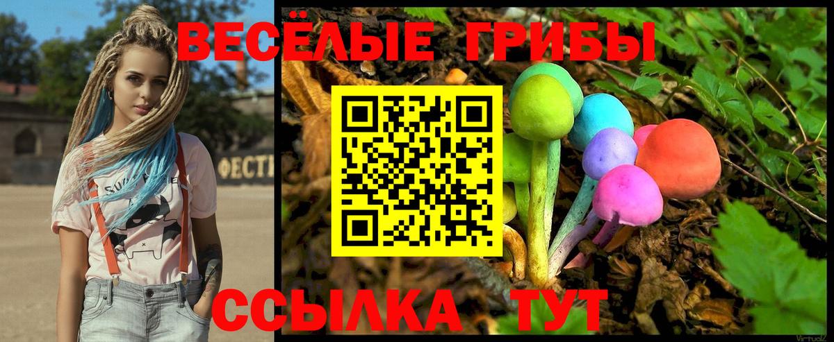 Псилоцибиновые грибы мухоморы  Вход с VPN  Кемерово 